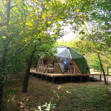 Lelek Lak Debrecen